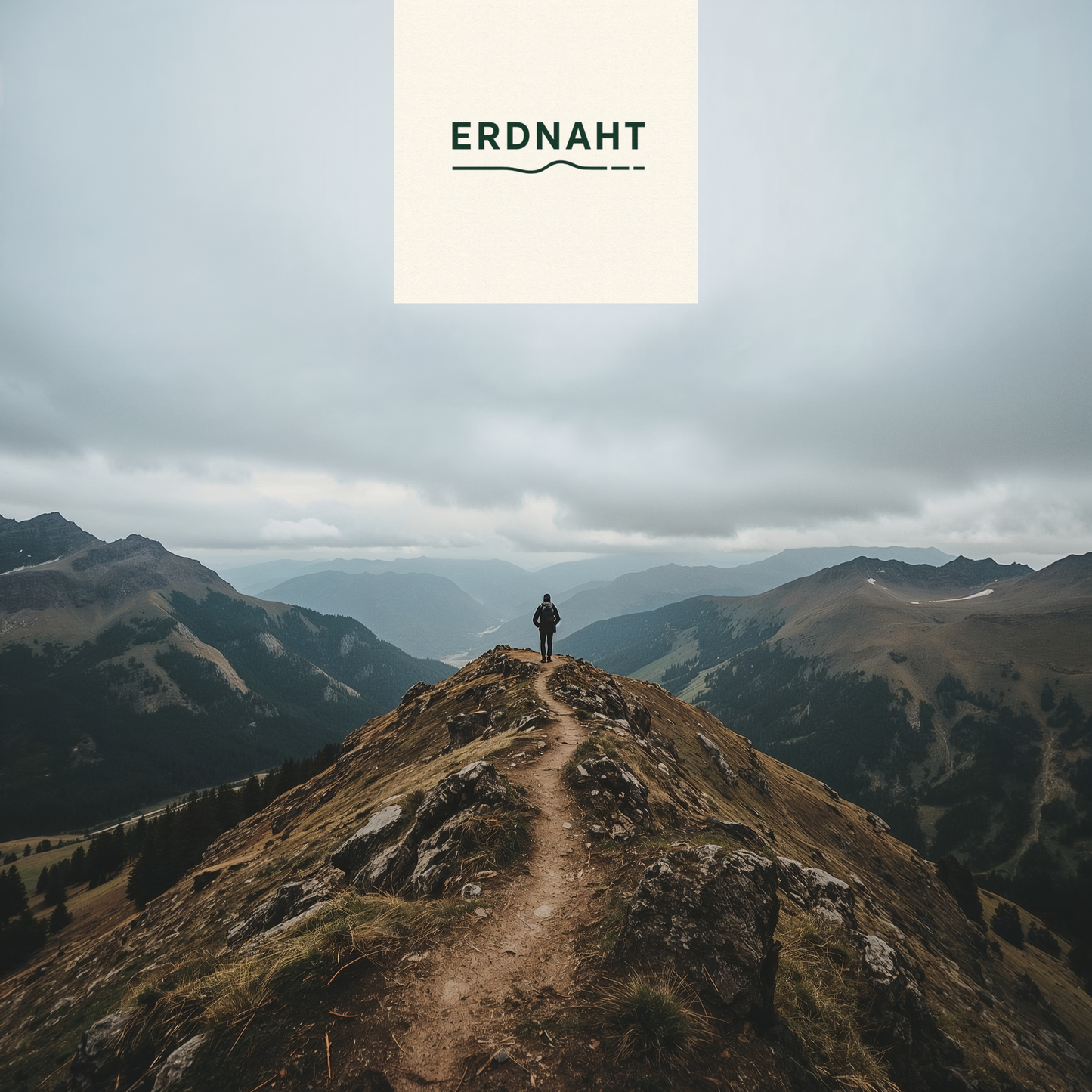 Bärenruhe am Pfad –T-Shirt – Heavy Cotton Unisex