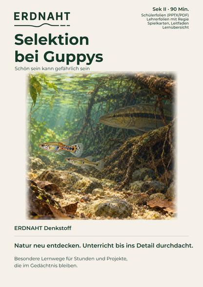 Selektion bei Guppys, Denkstoff, Sek II, 90 Minuten