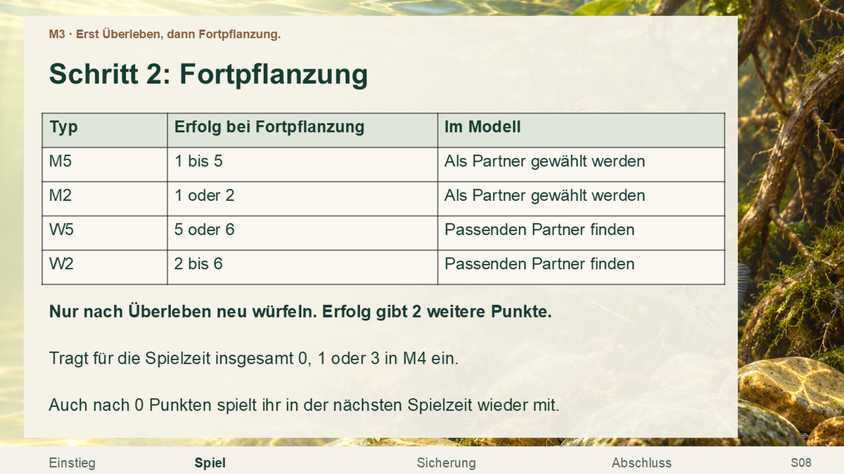 Schrittweise Spielregel zu Überleben und Fortpflanzung mit einfacher Wertung.