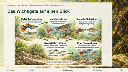 Zusammenhängendes Bild zu Überleben, sexueller Selektion, Umwelt und Vererbung.