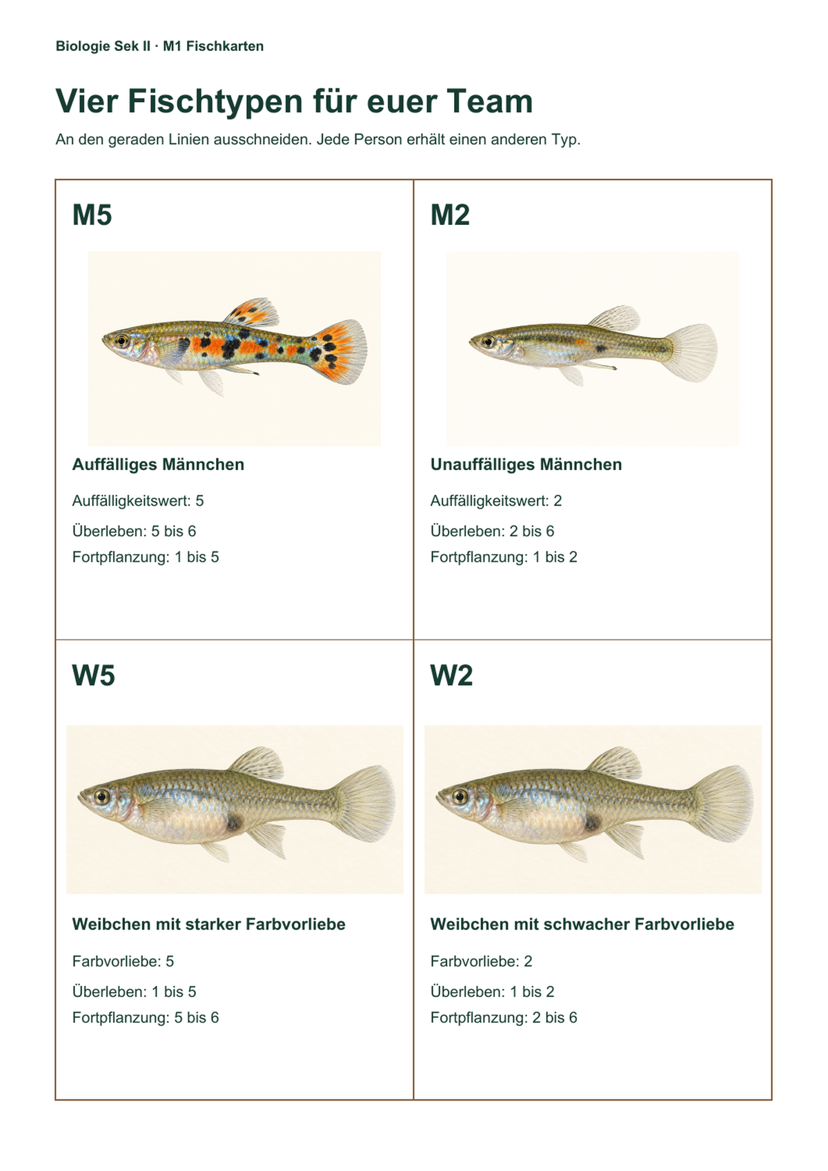 Vier Guppy-Spielkarten mit Typkennungen und Würfelschwellen.