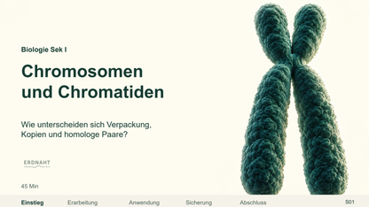 Chromosom, Chromatid und homologes Paar. Galerie 1. Sek I. Nah dran...!.