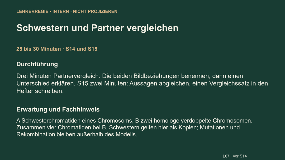 Chromosom, Chromatid und homologes Paar. Galerie 5. Sek I. Nah dran...!.