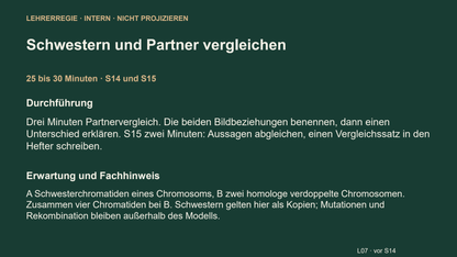 Chromosom, Chromatid und homologes Paar. Galerie 5. Sek I. Nah dran...!.