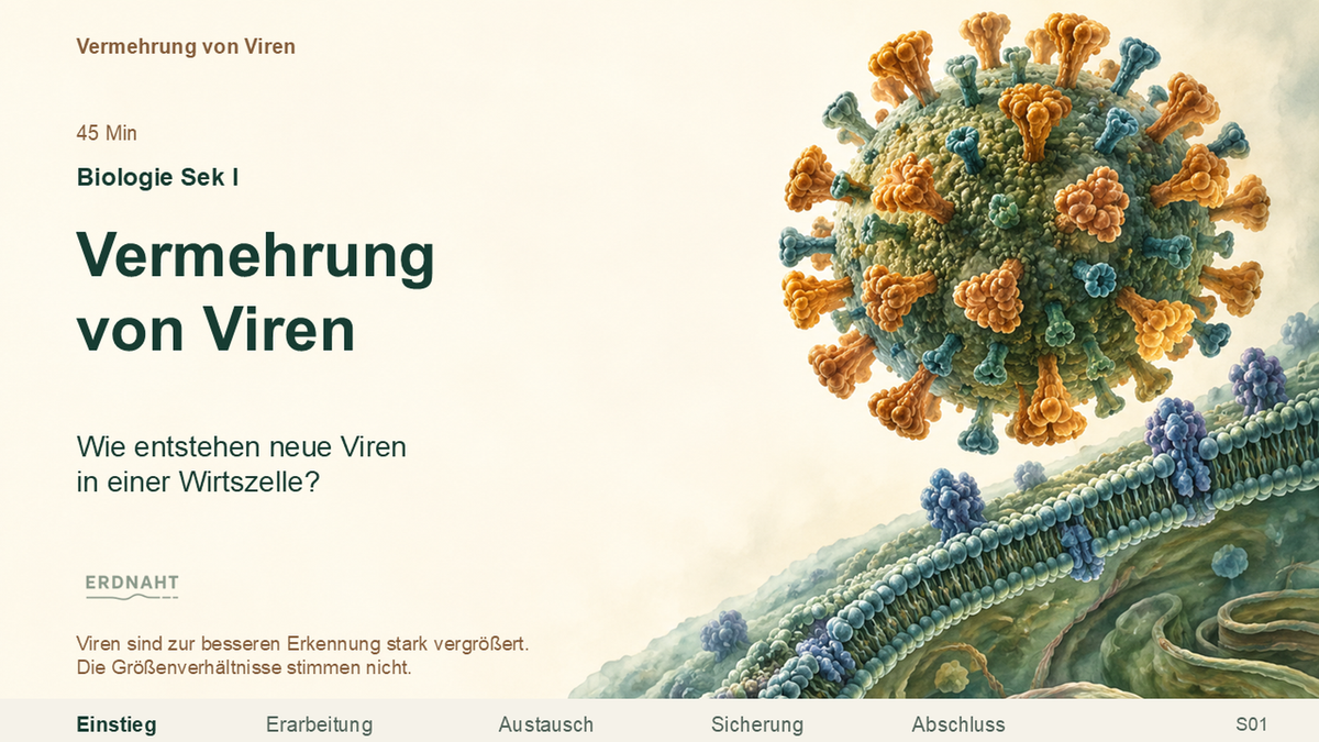 Vermehrung von Viren. Galerie 1. Sek I. Nah dran...!.