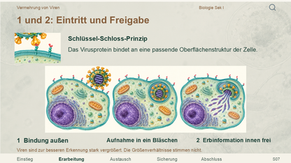 Vermehrung von Viren. Galerie 3. Sek I. Nah dran...!.