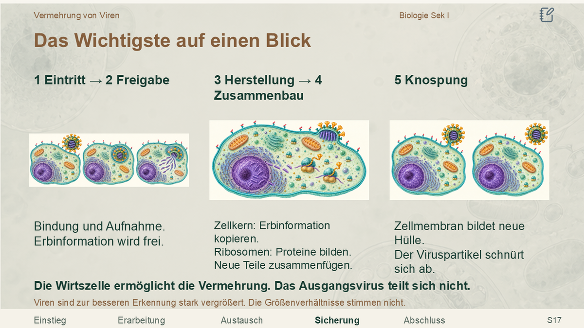 Vermehrung von Viren. Galerie 4. Sek I. Nah dran...!.