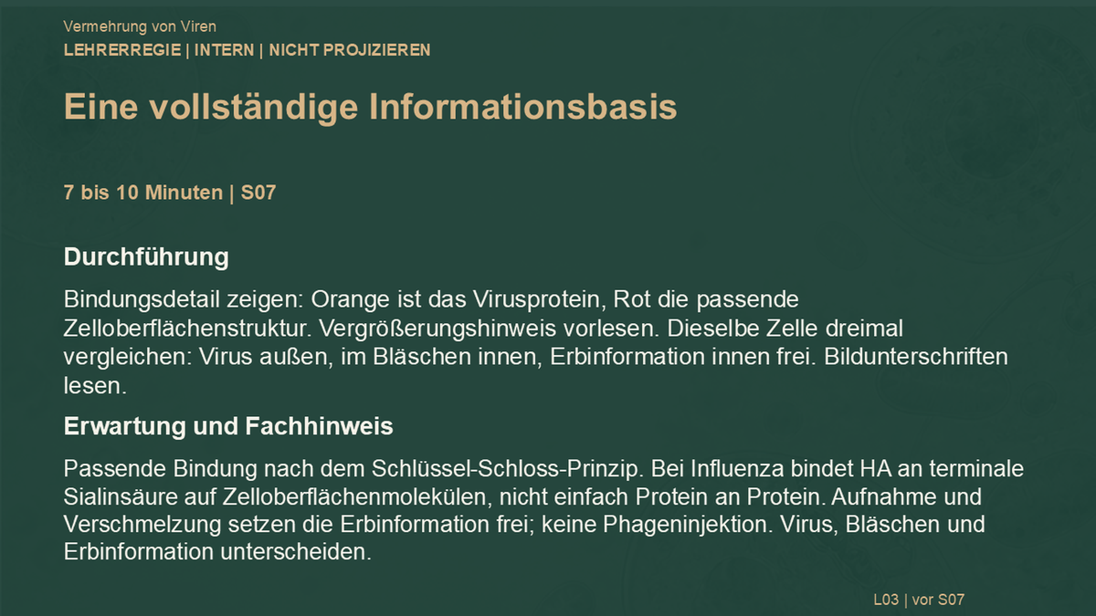 Vermehrung von Viren. Galerie 5. Sek I. Nah dran...!.