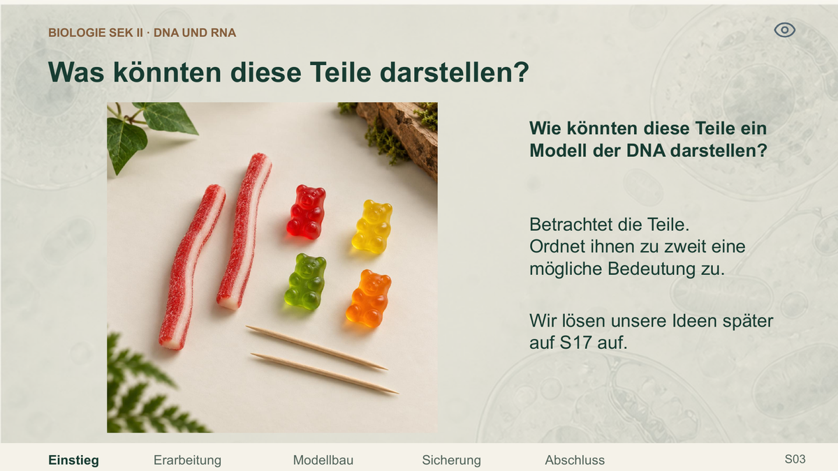 DNA und RNA. Galerie 2. Sek II. Denkstoff.