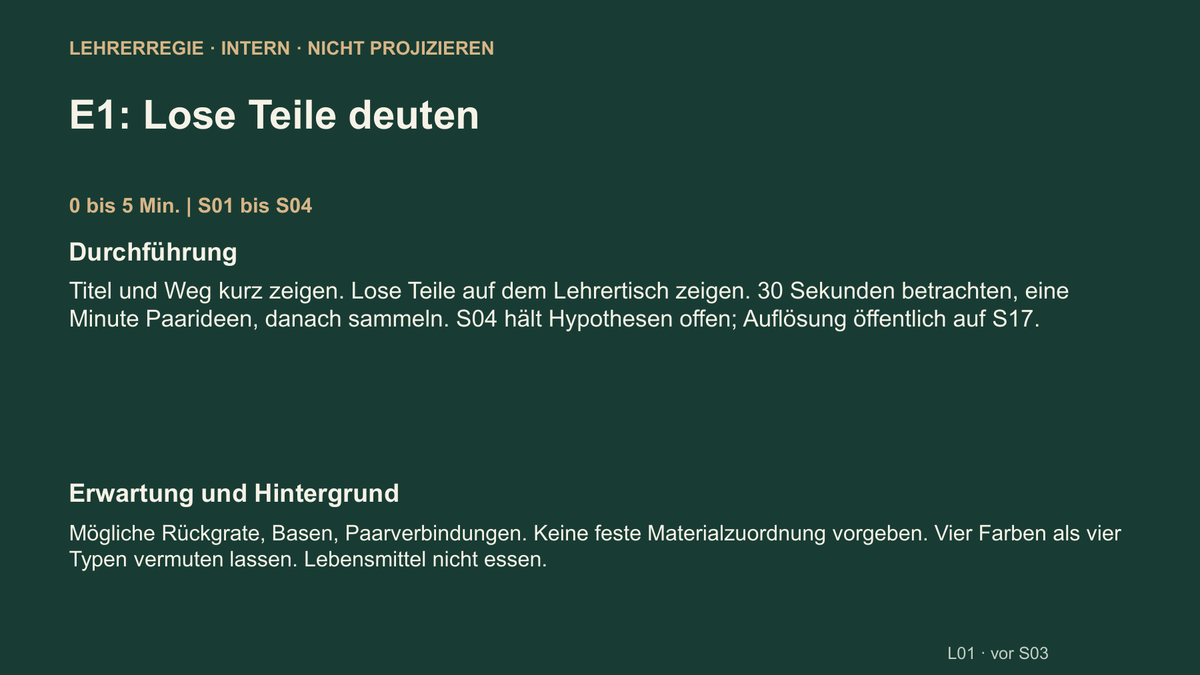 DNA und RNA. Galerie 5. Sek II. Denkstoff.