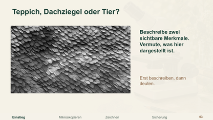 Richtig mikroskopieren vorbereiten!. Galerie 2. Sek I. Denkstoff.