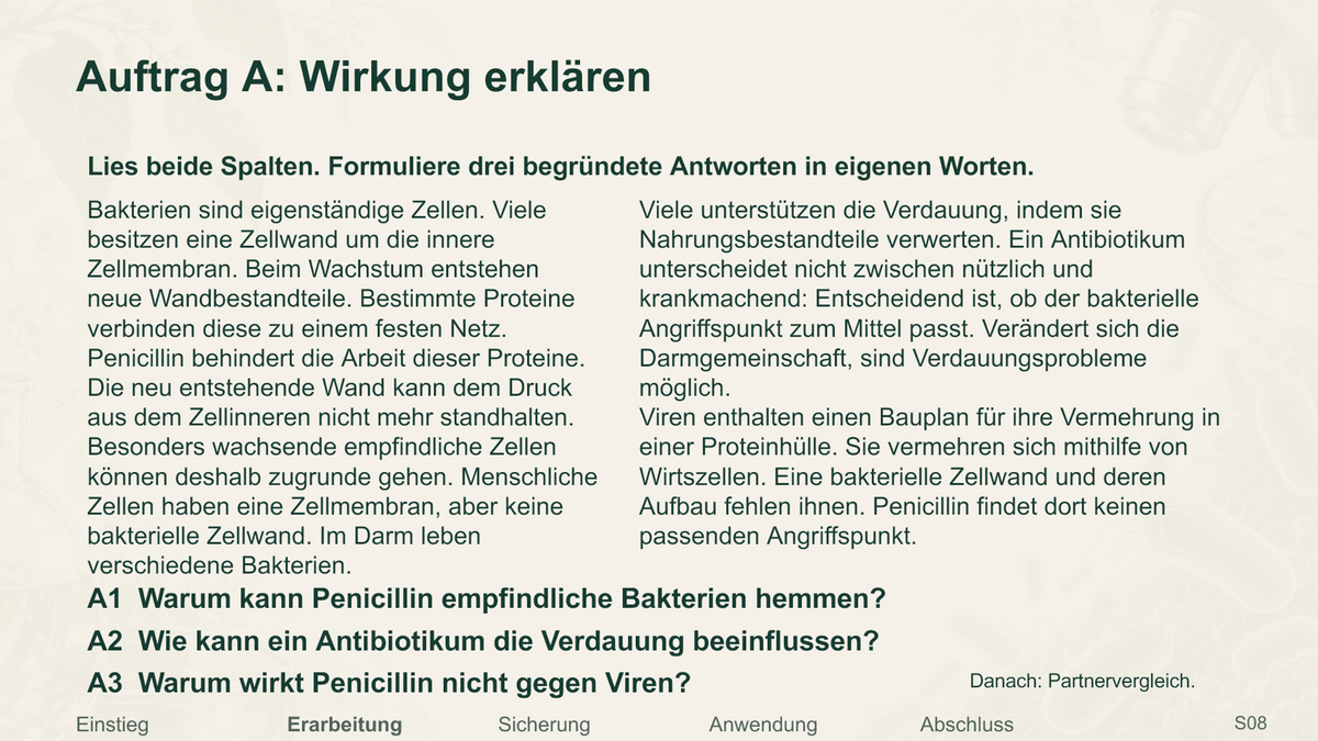 Antibiotika und Resistenz. Galerie 3. Sek I. Nah dran...!.