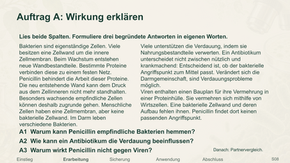 Antibiotika und Resistenz. Galerie 3. Sek I. Nah dran...!.