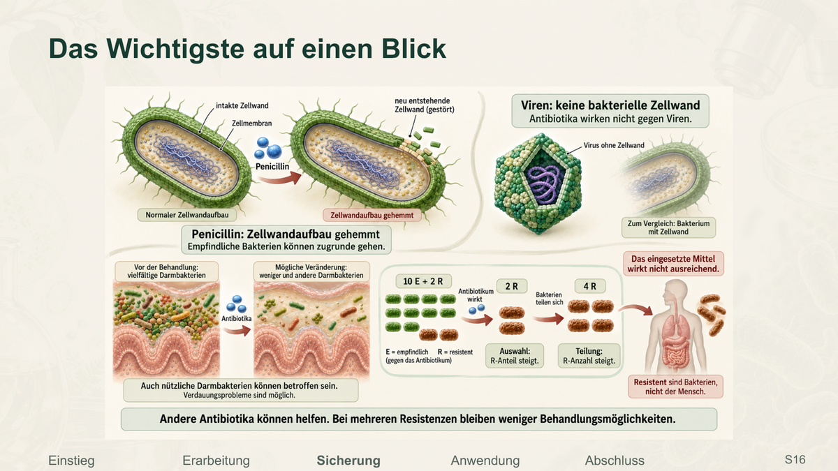 Antibiotika und Resistenz. Galerie 4. Sek I. Nah dran...!.