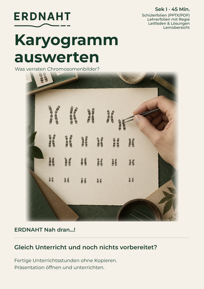 Ein Karyogramm auswerten. Cover. Sek I. Nah dran...!.