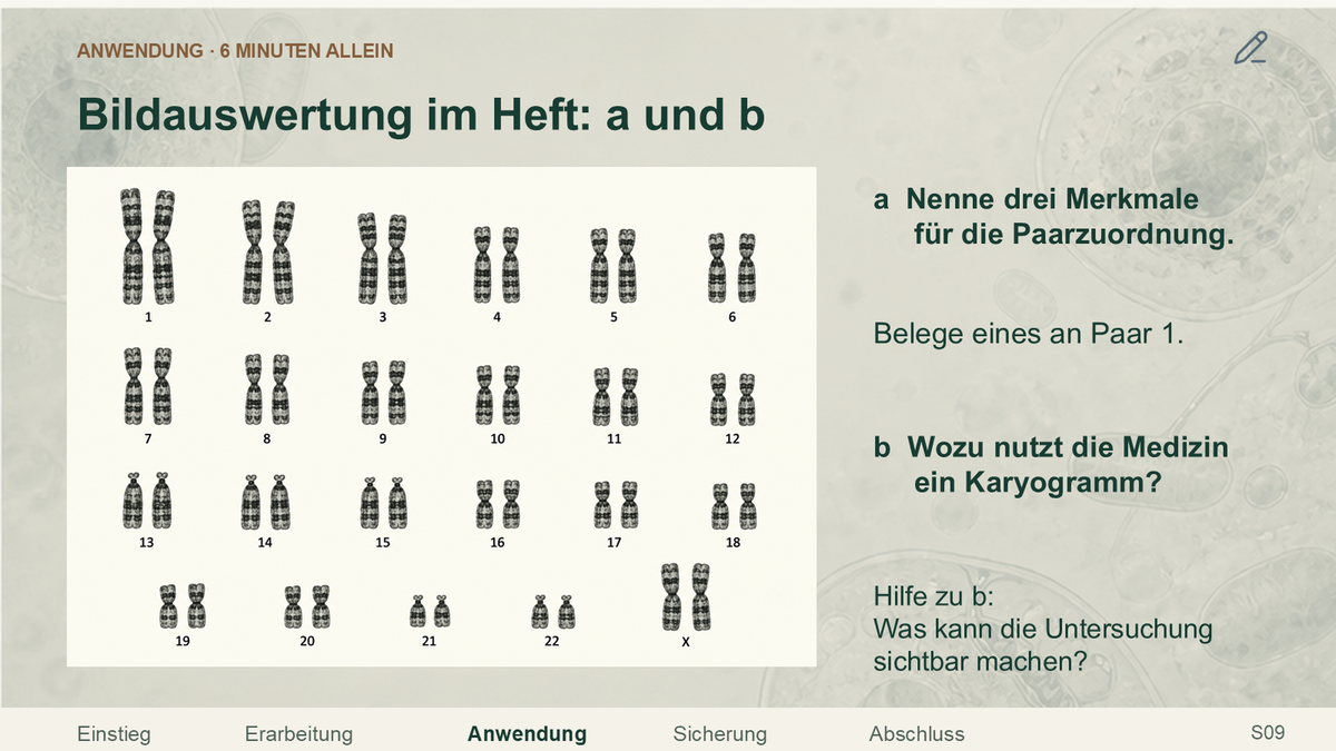 Ein Karyogramm auswerten. Galerie 3. Sek I. Nah dran...!.