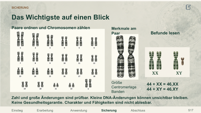 Ein Karyogramm auswerten. Galerie 4. Sek I. Nah dran...!.