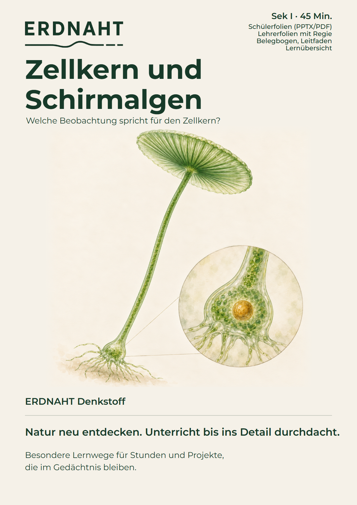 Zellkern und Schirmalgen. Cover. Sek I. Denkstoff.