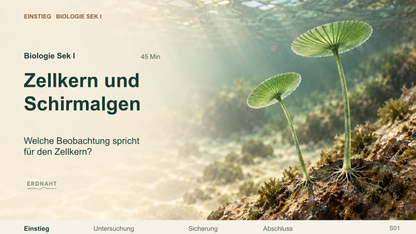 Zellkern und Schirmalgen. Galerie 1. Sek I. Denkstoff.