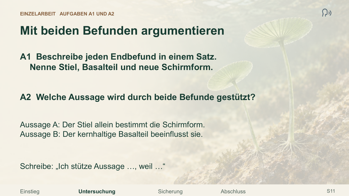 Zellkern und Schirmalgen. Galerie 3. Sek I. Denkstoff.