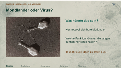 Virusbau und Wirtsabhängigkeit. Galerie 2. Sek I. Nah dran...!.