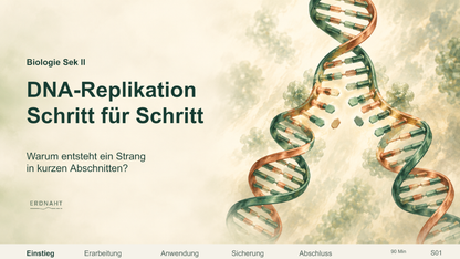 DNA-Replikation Schritt für Schritt. Galerie 1. Sek II. Denkstoff.