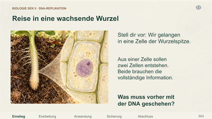 DNA-Replikation Schritt für Schritt. Galerie 2. Sek II. Denkstoff.
