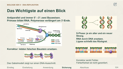 DNA-Replikation Schritt für Schritt. Galerie 4. Sek II. Denkstoff.