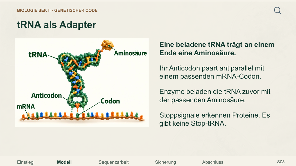Genetischer Code. Galerie 3. Sek II. Denkstoff.