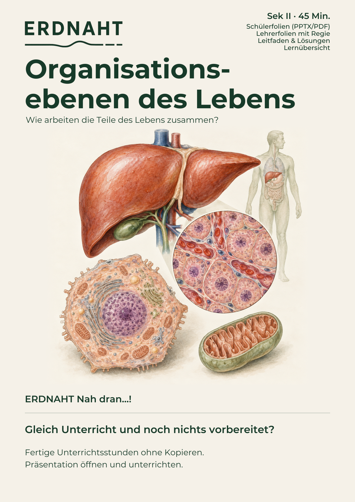 Organisationsebenen des Lebens. Cover. Sek II. Nah dran...!.