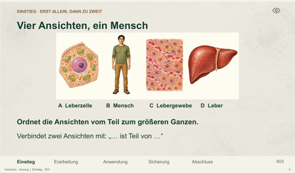 Organisationsebenen des Lebens. Galerie 02 Einstieg. Sek II. Nah dran...!.