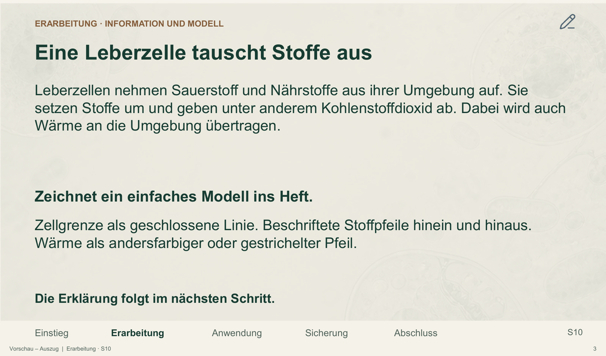 Organisationsebenen des Lebens. Galerie 03 Erarbeitung. Sek II. Nah dran...!.