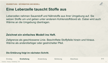 Organisationsebenen des Lebens. Galerie 03 Erarbeitung. Sek II. Nah dran...!.