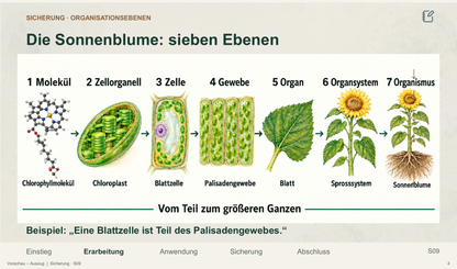 Organisationsebenen des Lebens. Galerie 04 Sicherung. Sek II. Nah dran...!.