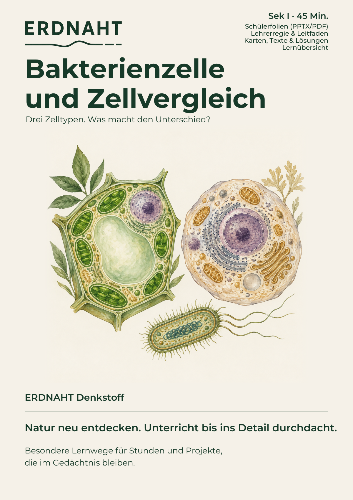 Bakterienzelle und Zellvergleich. Cover. Sek I. Denkstoff.