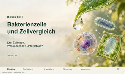 Bakterienzelle und Zellvergleich. Galerie 01 Titel. Sek I. Denkstoff.