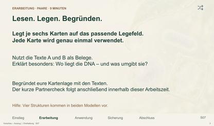 Bakterienzelle und Zellvergleich. Galerie 3.