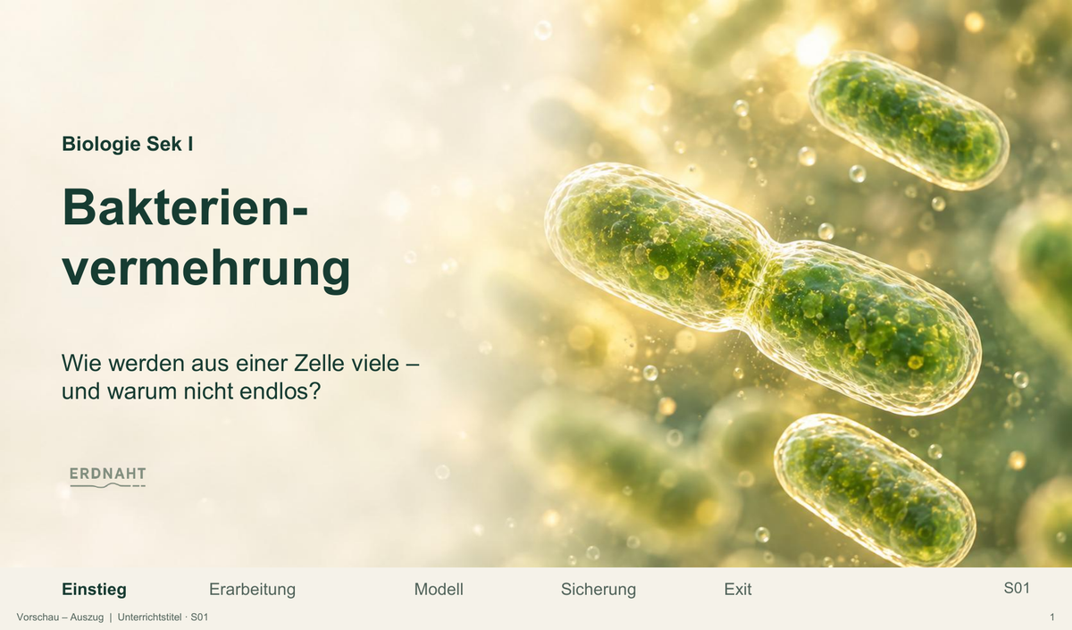Bakterienvermehrung. Galerie 1.