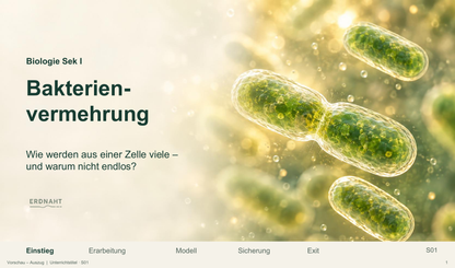 Bakterienvermehrung. Galerie 1.