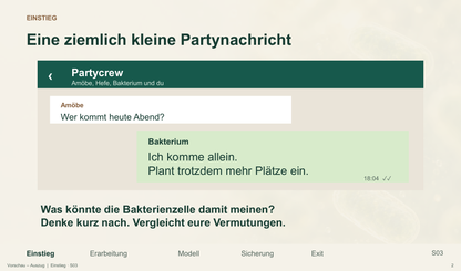 Bakterienvermehrung. Galerie 2.