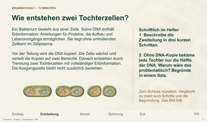 Bakterienvermehrung. Galerie 3.