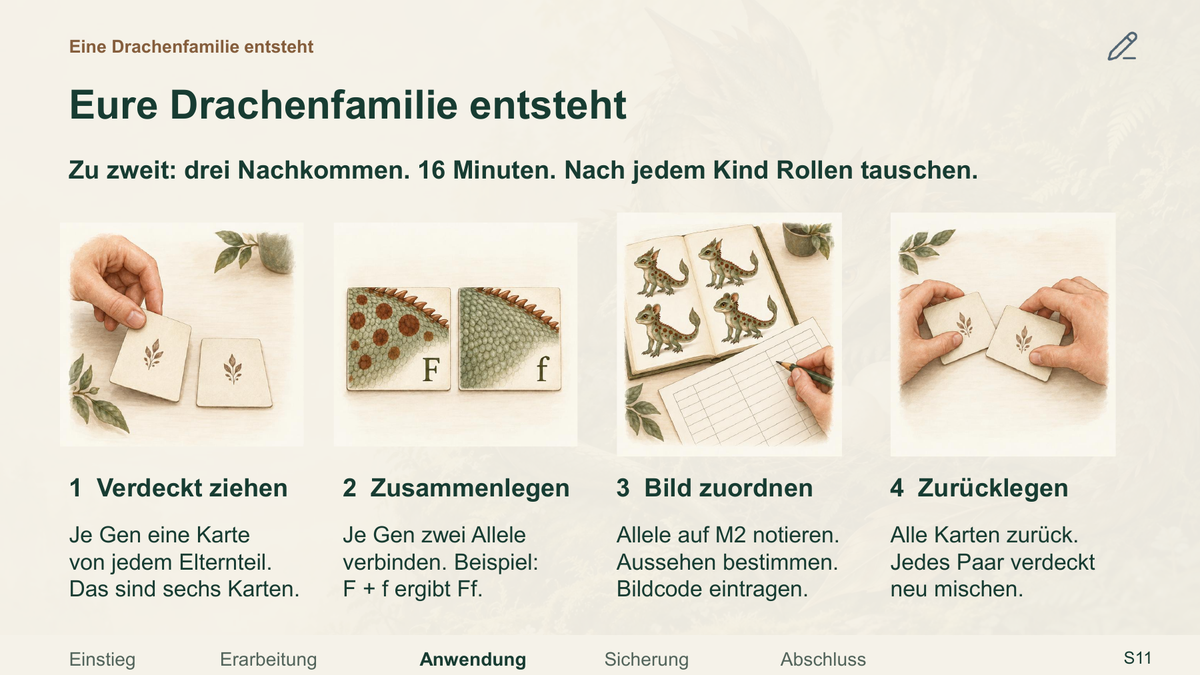 Vererbung im Modell. Galerie 3.