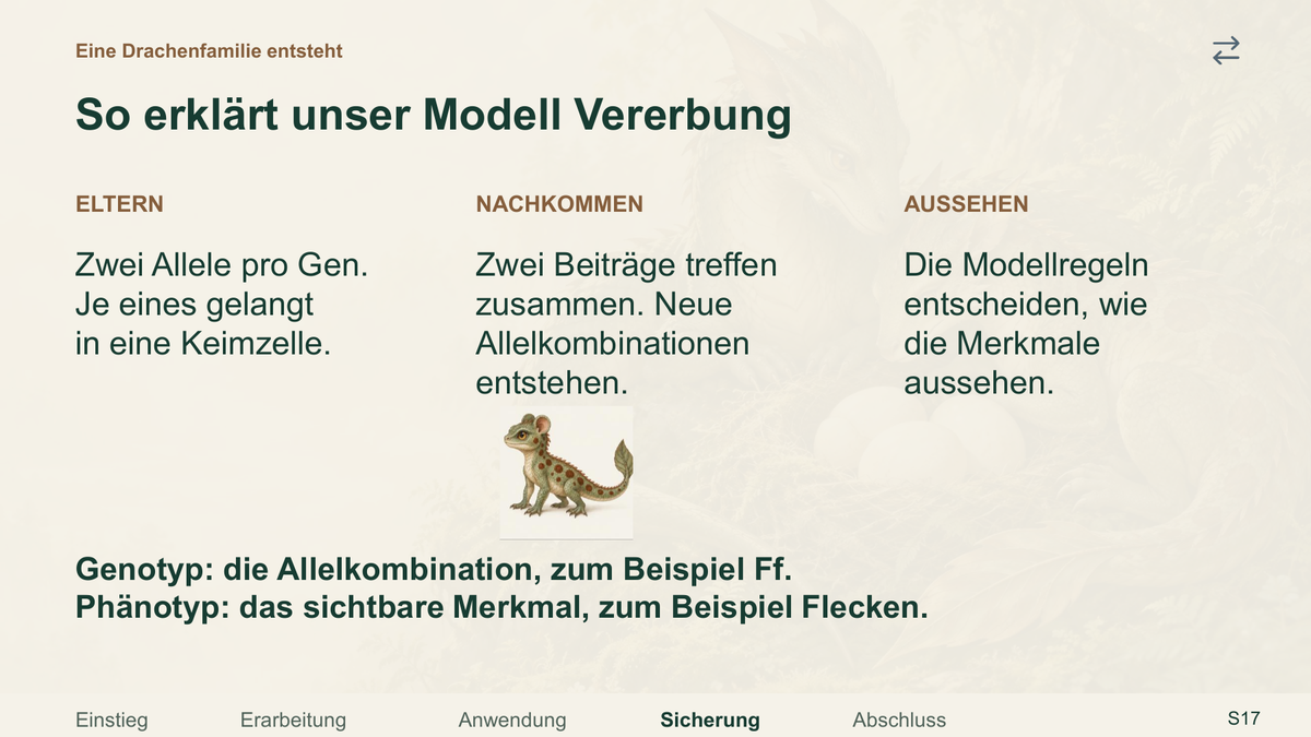 Vererbung im Modell. Galerie 4.