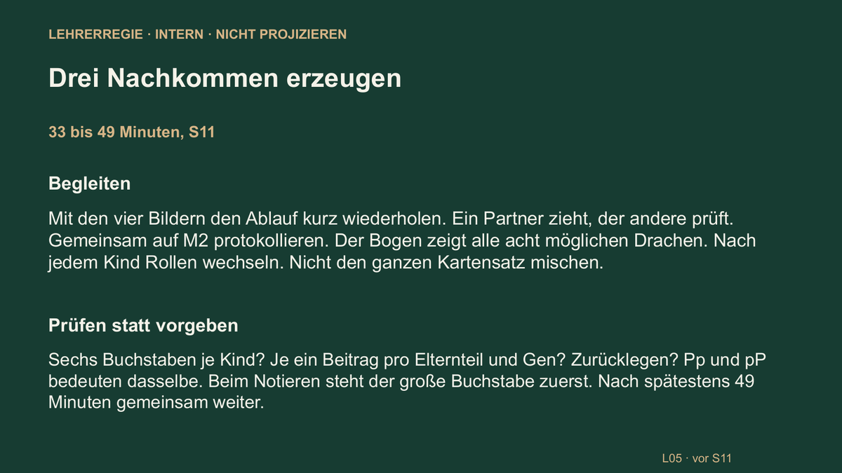 Vererbung im Modell. Galerie 5.