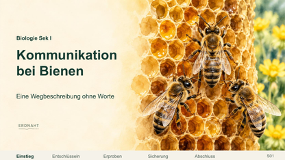 Kommunikation durch Bienentänze. Galerie 1.