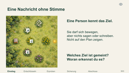 Kommunikation durch Bienentänze. Galerie 2.