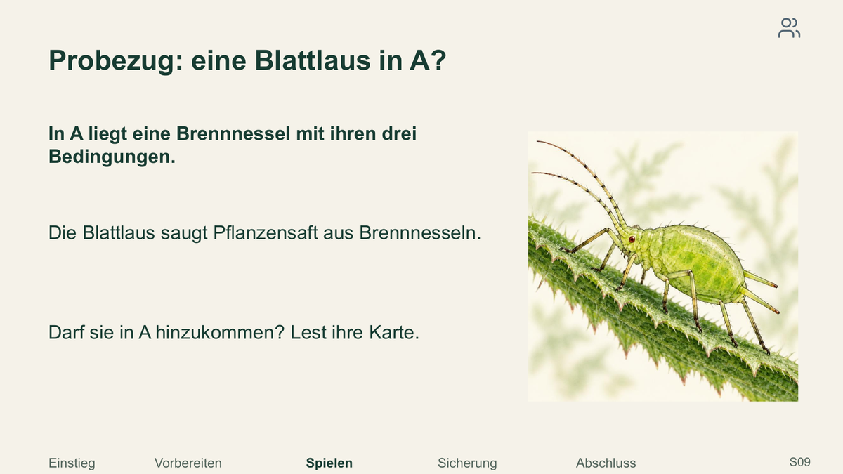 Arten und ihre Lebensbedingungen. Galerie 3.