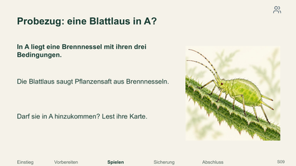 Arten und ihre Lebensbedingungen. Galerie 3.